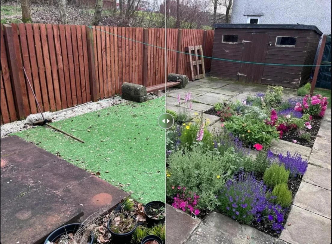 Before/after slider on a back garden: artificial grass on the left, flower beds with lavender and roses between paving stones on the right, with the same fence and shed on both sides